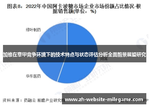 加维在意甲竞争环境下的技术特点与状态评估分析全面前景展望研究